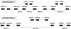 Fig 1.