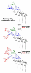 FIGURE 12