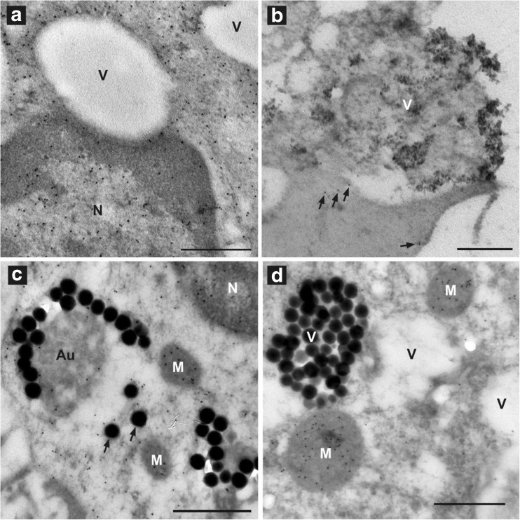 Fig. 5