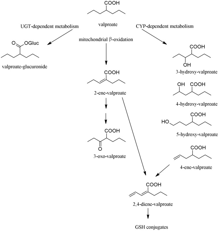 Fig. (1)