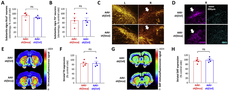 Figure 3: