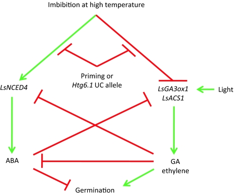 Fig. 8