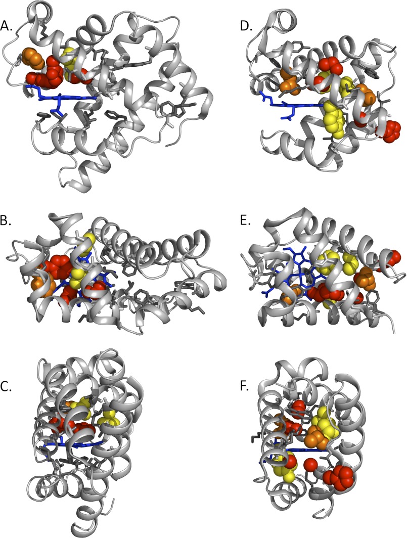 FIGURE 4.