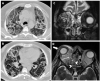 Fig. 8