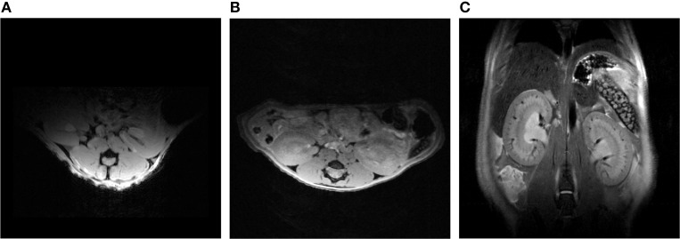 Figure 14