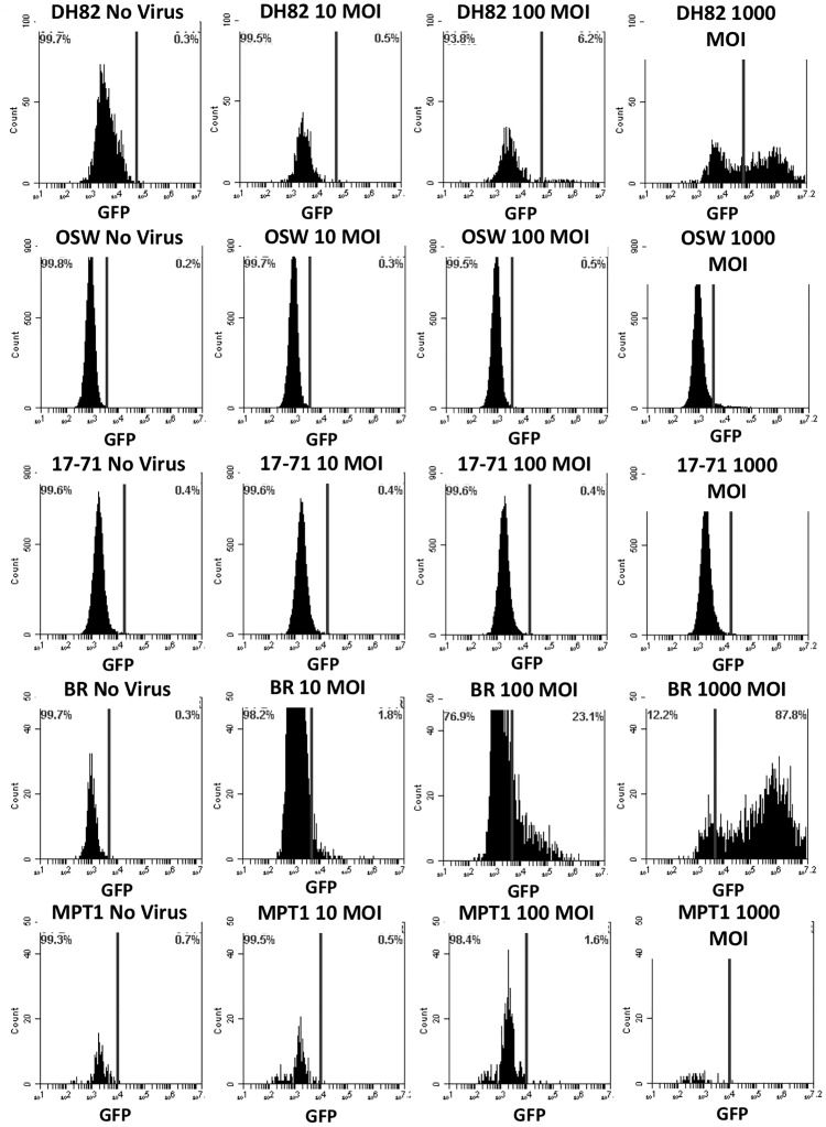 Fig 3