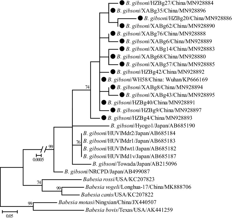 Fig. 6