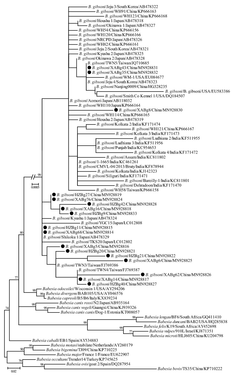 Fig. 2