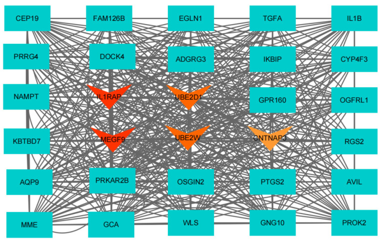 Figure 4