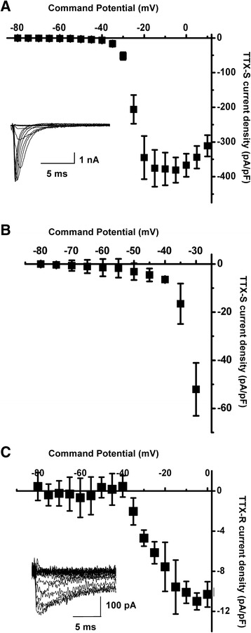 Fig. 8