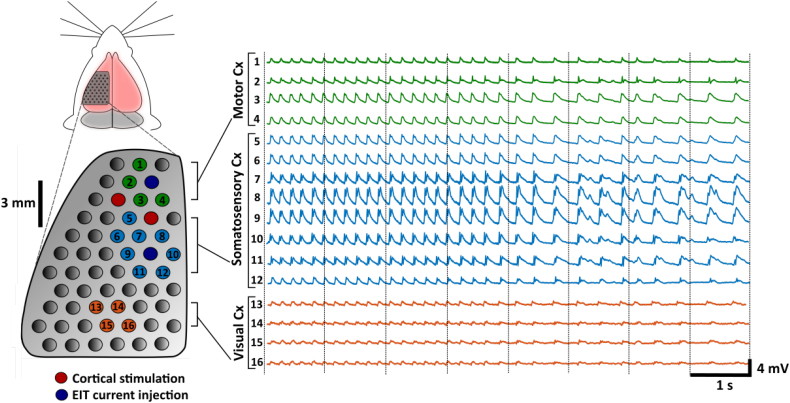 Fig. 2