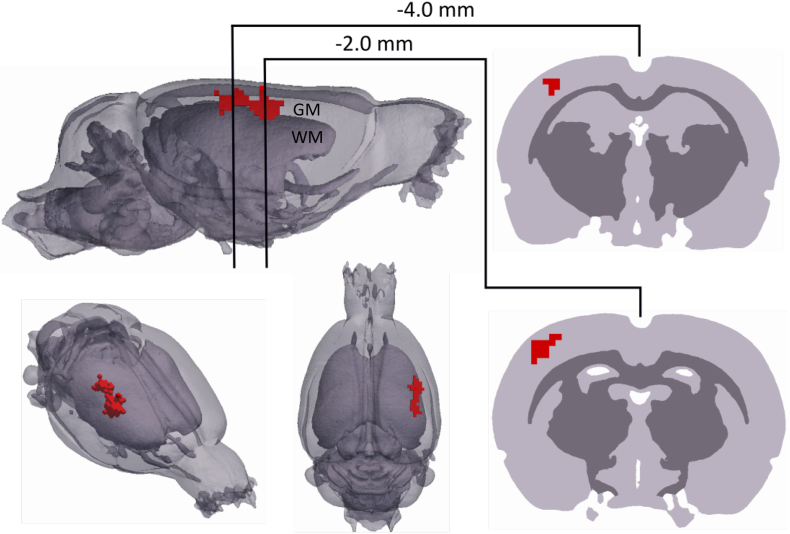 Fig. 6