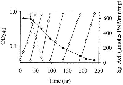 FIG. 5