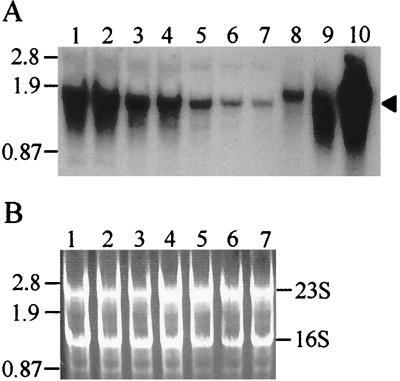 FIG. 6