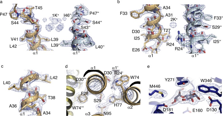 Figure 1—figure supplement 3.