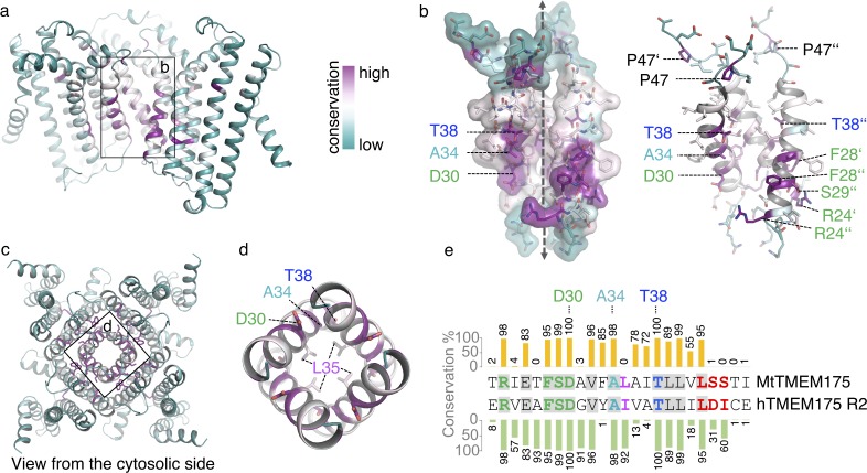 Figure 4—figure supplement 1.