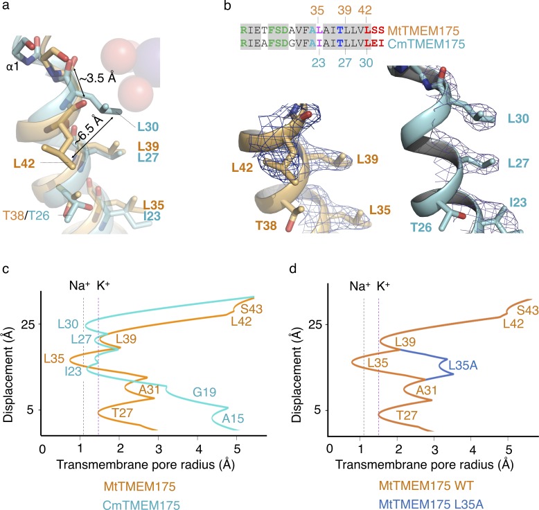 Figure 6—figure supplement 2.