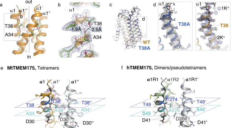 Figure 5—figure supplement 1.