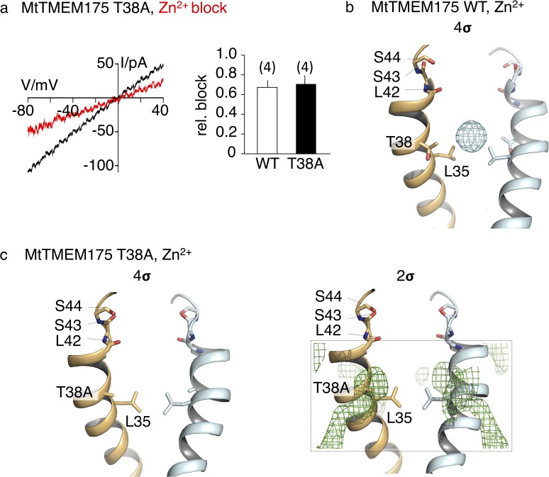 Figure 6—figure supplement 1.