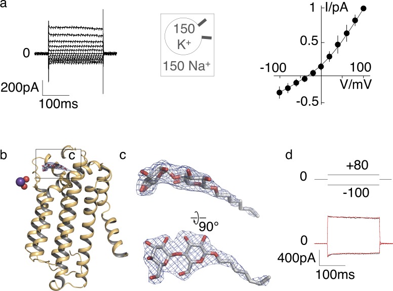 Figure 2—figure supplement 1.