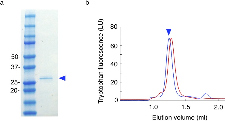 Figure 2—figure supplement 4.