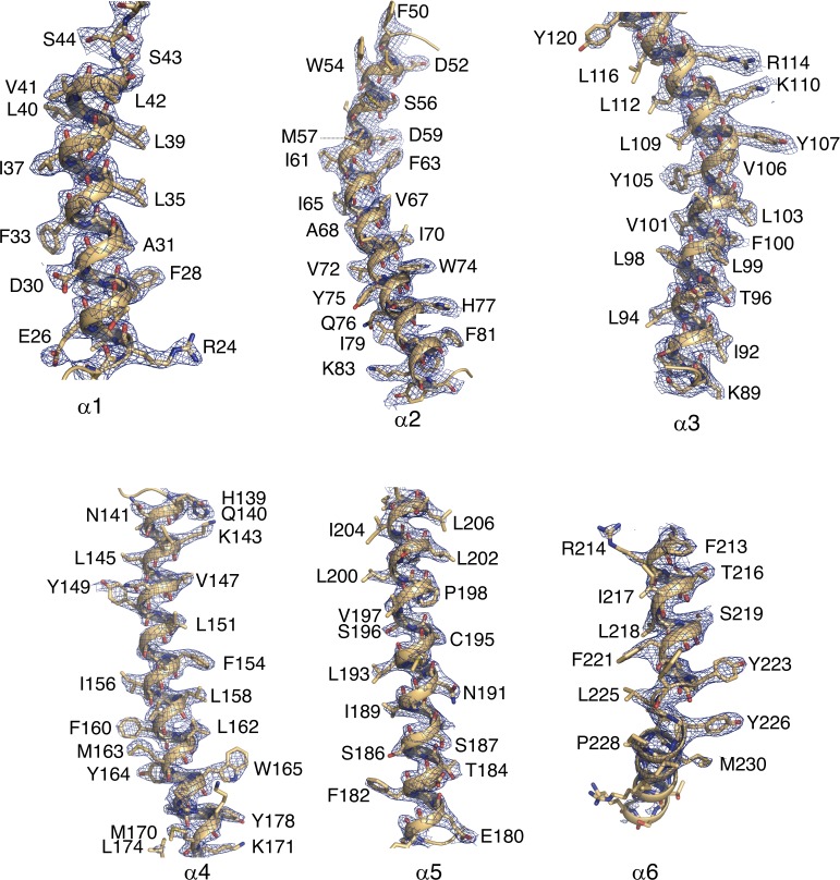 Figure 1—figure supplement 2.