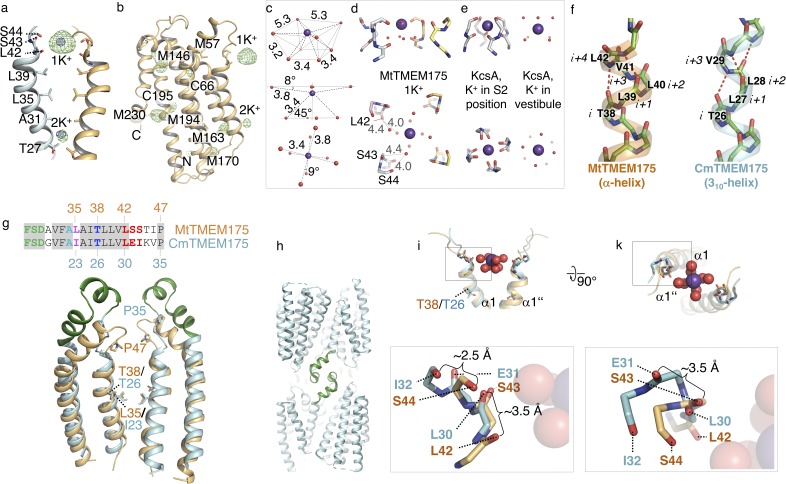 Figure 3—figure supplement 1.