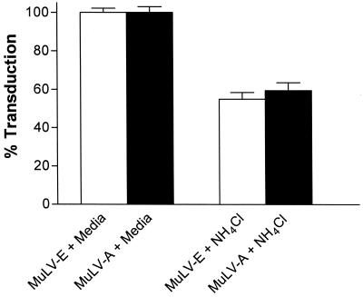 FIG. 7