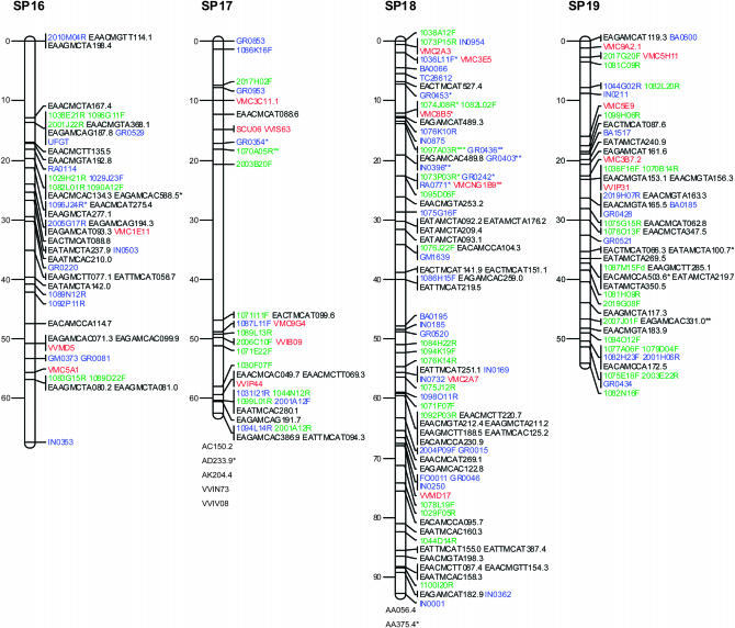 Figure 1.—