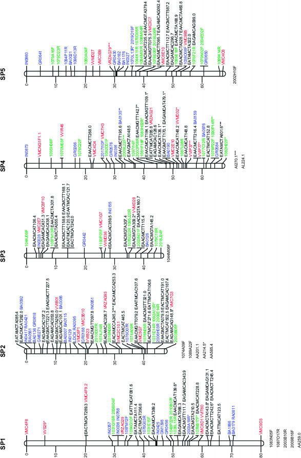 Figure 1.—