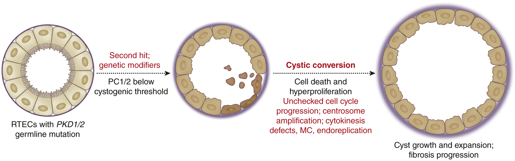 Figure 3 |