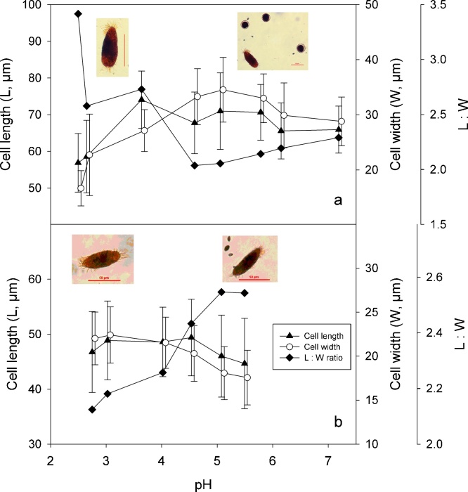 Fig. 8