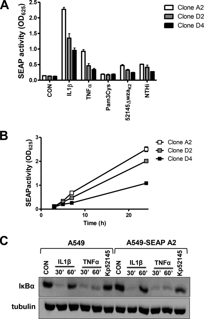 FIGURE 1.