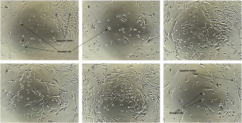 Fig. 7