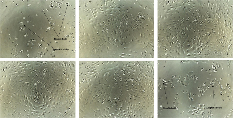 Fig. 6