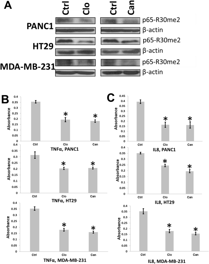 Fig. 6