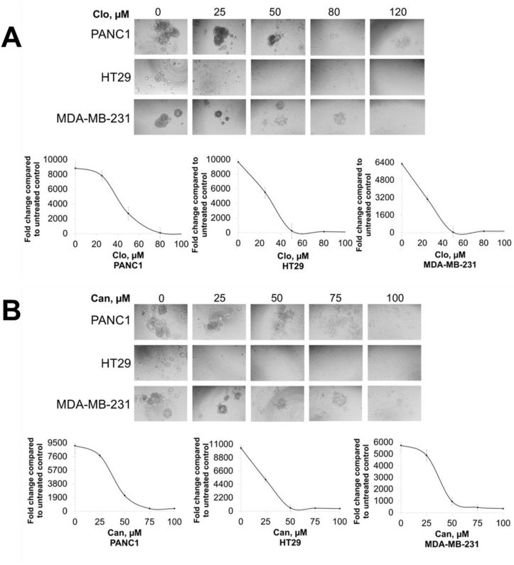 Fig. 8