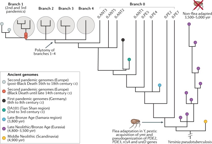 Fig. 6