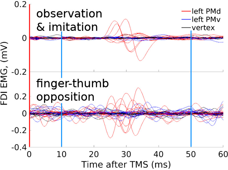 Figure 10.