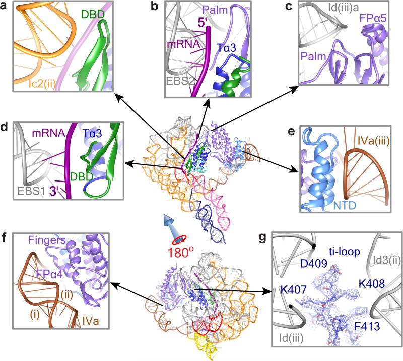 Fig. 4