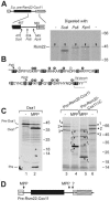 FIG. 6.