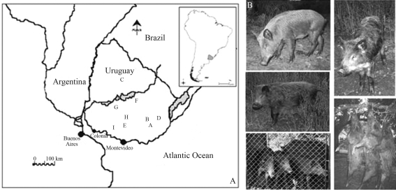 Figure 1-