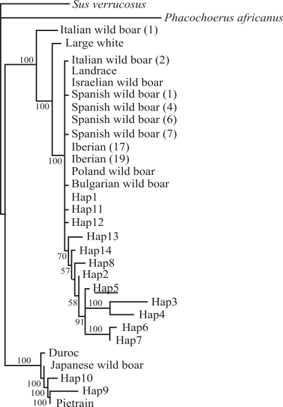 Figure 2-