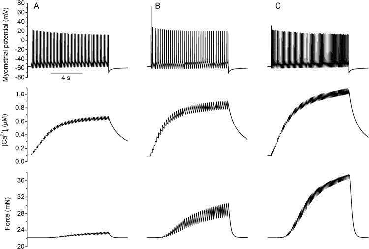 Figure 6