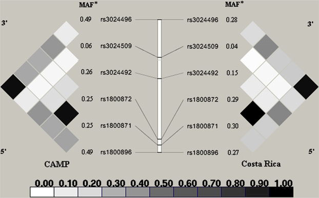 FIG 1.