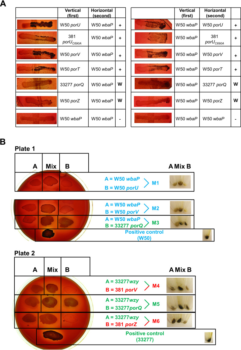 FIG 1