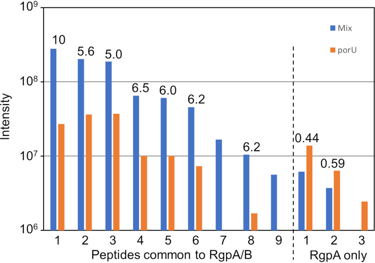 FIG 5