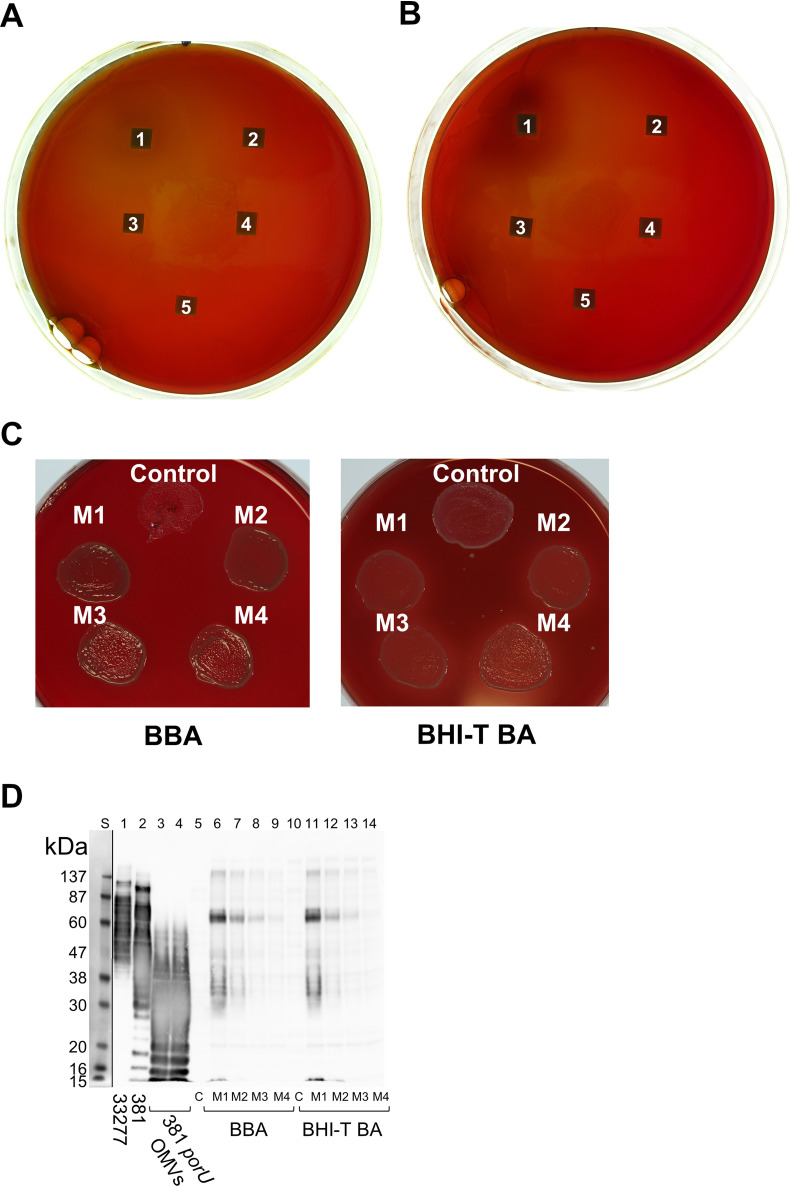 FIG 4