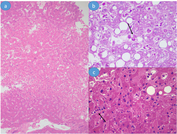 Figure 2