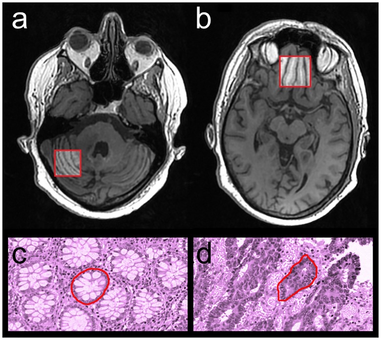 Fig 3